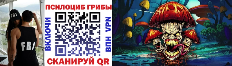 Псилоцибиновые грибы прущие грибы  Александров 